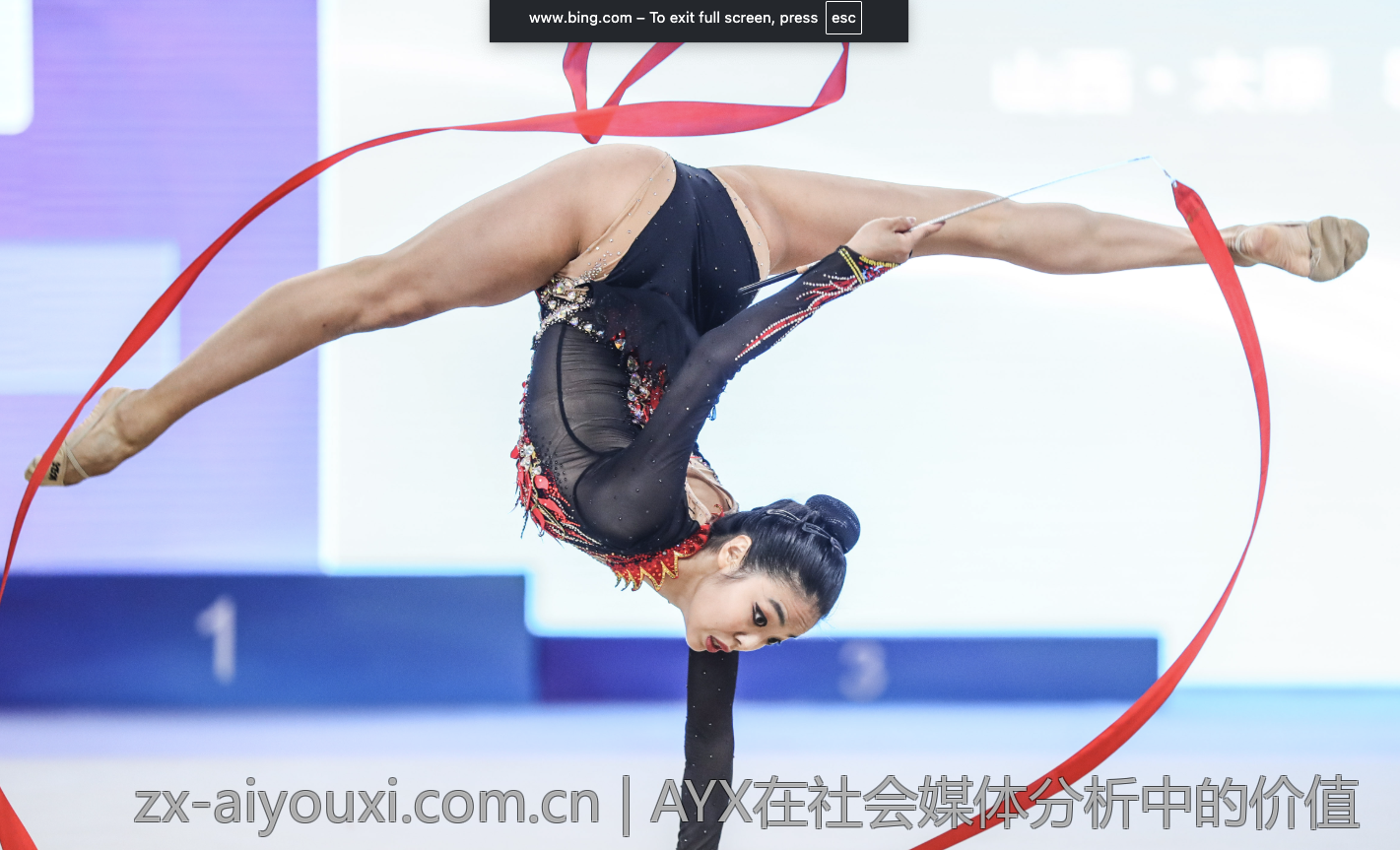 AYX在社会媒体分析中的价值