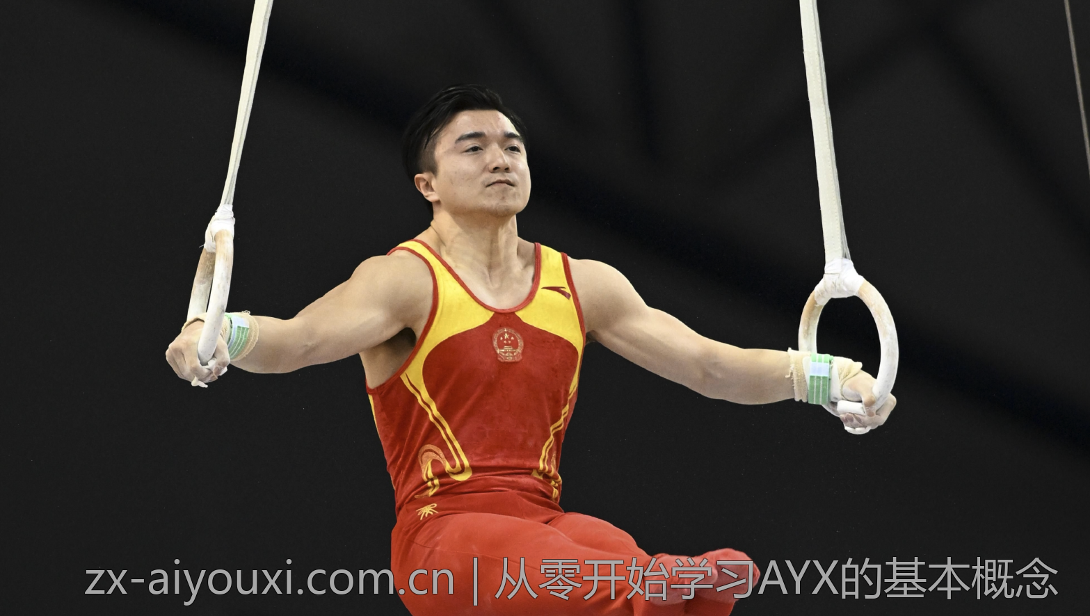 从零开始学习AYX的基本概念